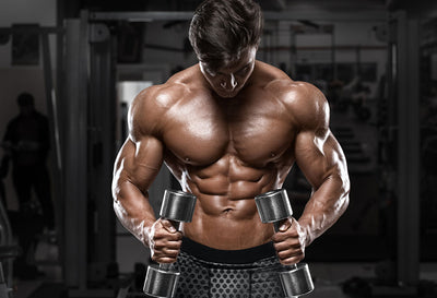 Comprehensive Guide to Dumbbells: Everything You Need to Know