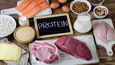Muscle, Recovery, And Results: The Role Of Protein In Bodybuilding